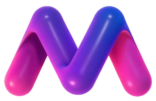 Logo Matchers